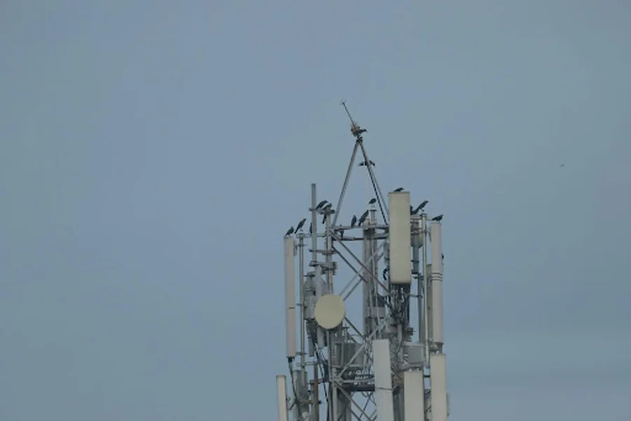 5G is Revolutionizing