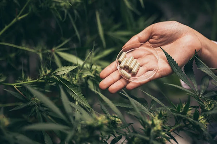 From Sacred Herbs to Modern Science