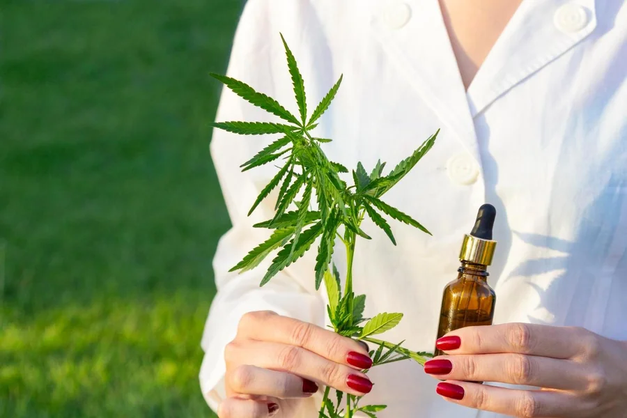 Cannabis