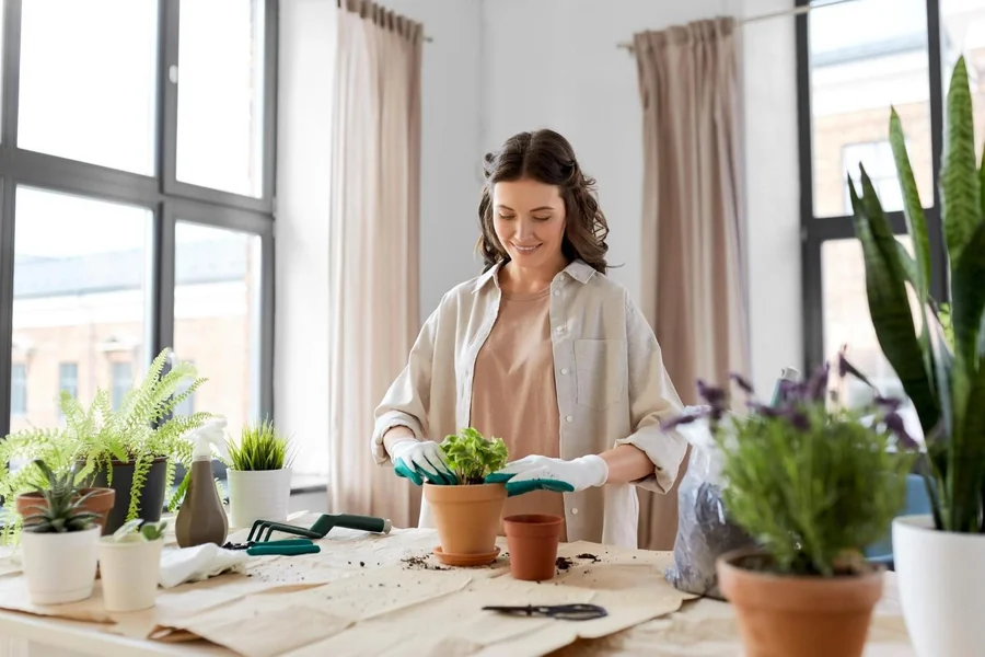 The Rise of Self-Sufficient Living Why More People Are Growing at Home